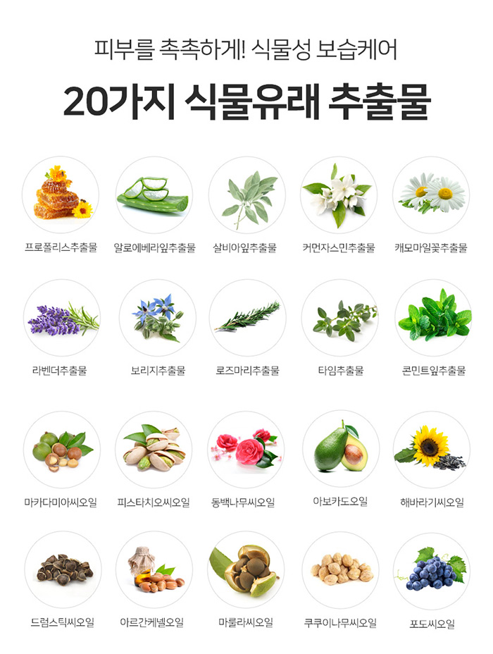 올콤 바디로션 프로폴리스