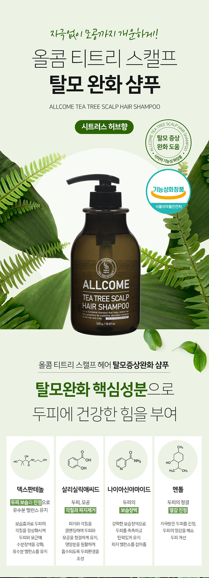 올콤 탈모샴푸 티트리 스캘프
