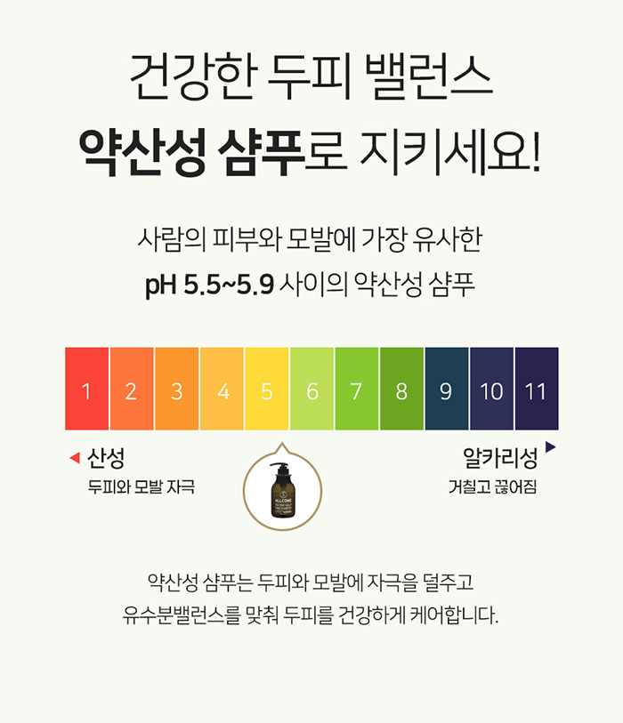 올콤 탈모샴푸 티트리 스캘프